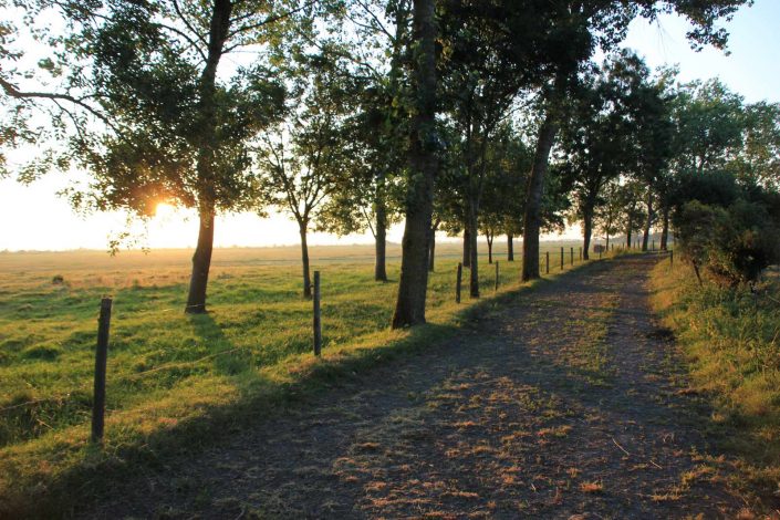 Les alentours du Gîte de Grand-Lieu, près du lac de Grand-Lieu dans le 44