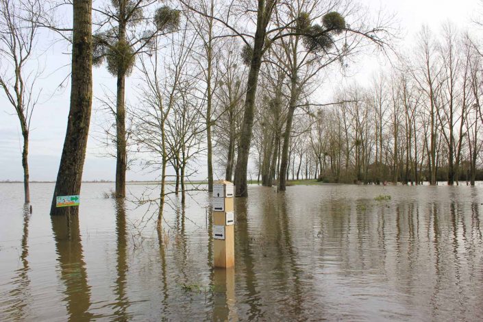 Le Gîte de Grand-Lieu entre Nantes et Pornic