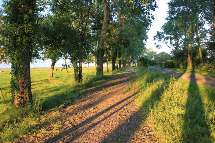 Gîte de Grand-Lieu au label "Accueil Paysan" dans le 44