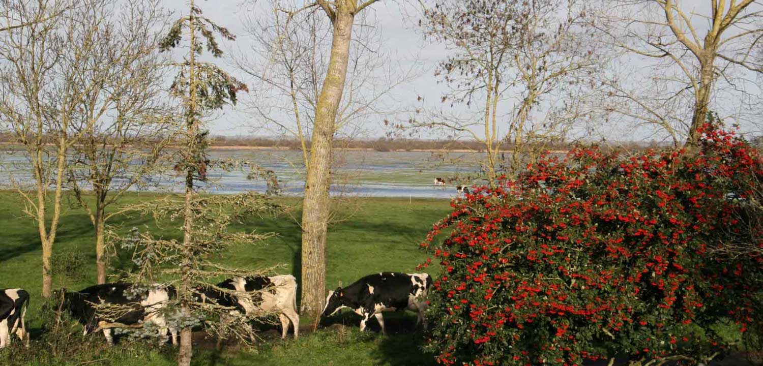 Le Gite de Grand-Lieu au bord du lac de Grand-Lieu