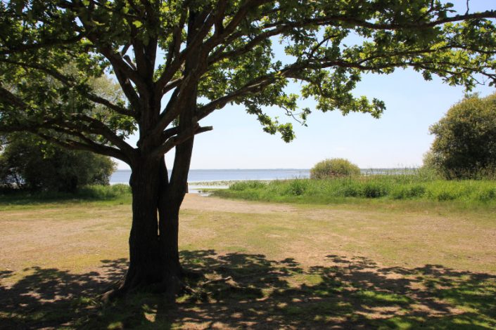 Les tarifs du Gîte de Grand Lieu à Saint Lumine de Coutais