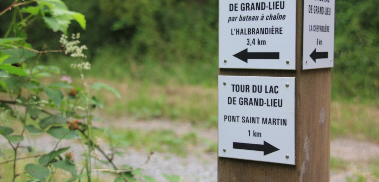 Activités de la région, aux alentours du Gîte de Grand-Lieu