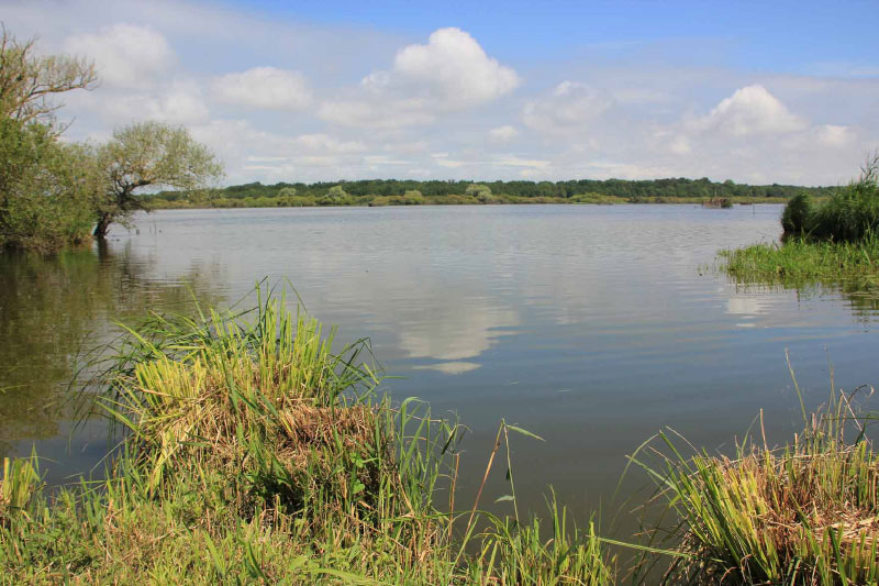 Activités aux alentours de notre Gîte au pied du lac de Grand Lieu près de Nantes