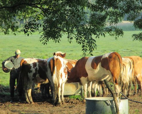 Exploitation agricole du Gîte de Grand Lieu - 44