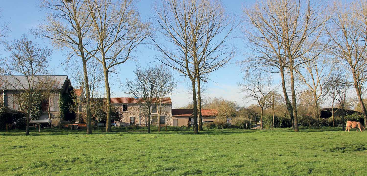 Gîte de Grand-Lieu au coeur du Pays de Retz