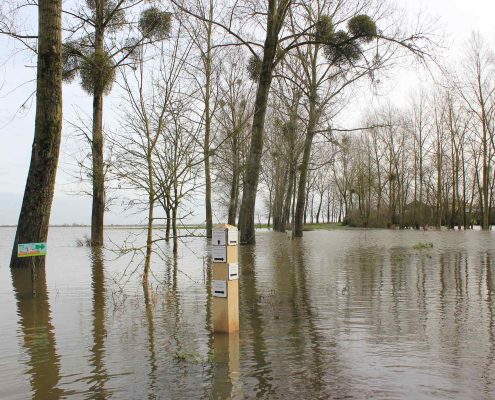 Gîte de Grand-Lieu, nature et découverte, entre Machecoul et Bouaye