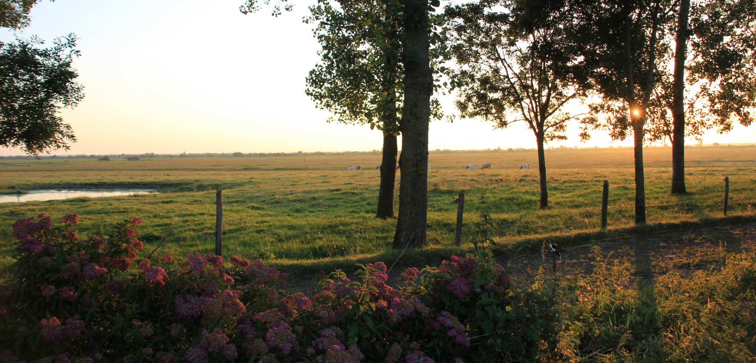 Gîte de Grand-Lieu près de Pornic, mentions légales du site