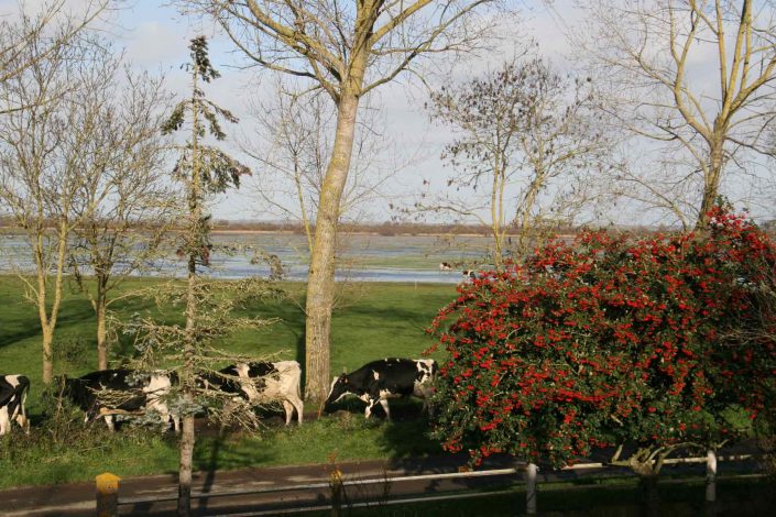 Gîte au bord du Lac de Grand Lieu