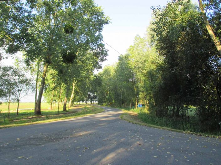 Gîte à Saint Lumine de Coutais dans le Pays de Retz, au coeur de la nature