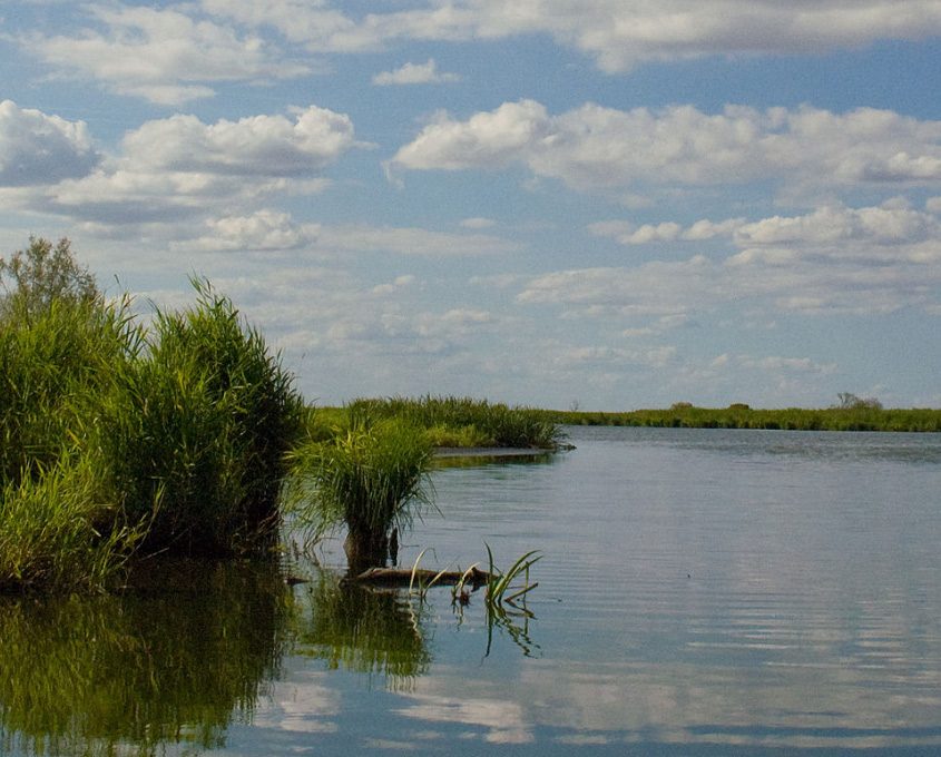 Parc de Brière près du Gîte de Grand-Lieu au coeur du Pays de Retz