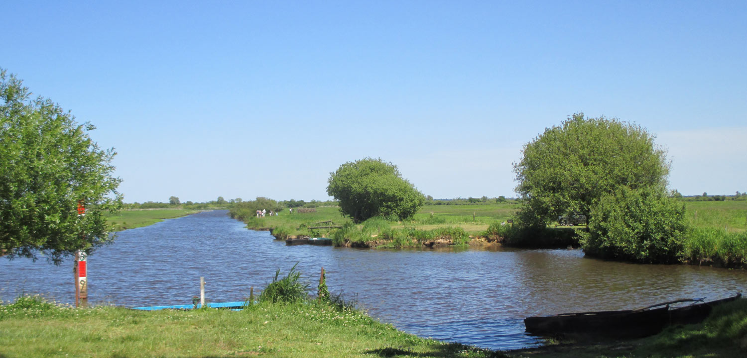 À proximité du Gîte de Grand Lieu, à Saint Lumine de Coutais