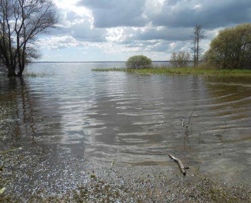 La visite du Lac de Grand-Lieu accolé au gîte de Saint Lumine de Coutais